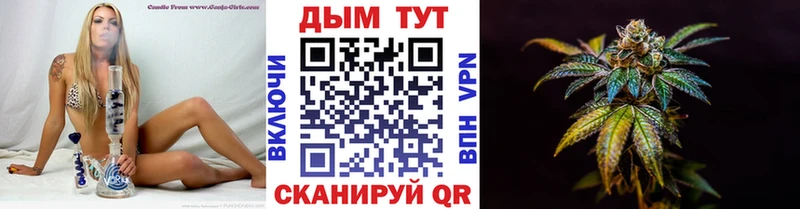 Купить где  Гай  МАРИХУАНА конопля 